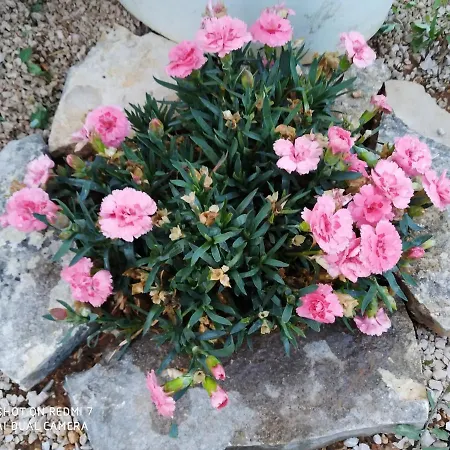 Lyxtält Krka Fairytale Little Castle Skradin