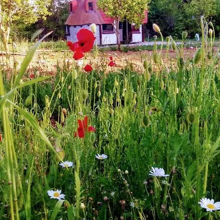 Krka Fairytale Little Castle * Skradin