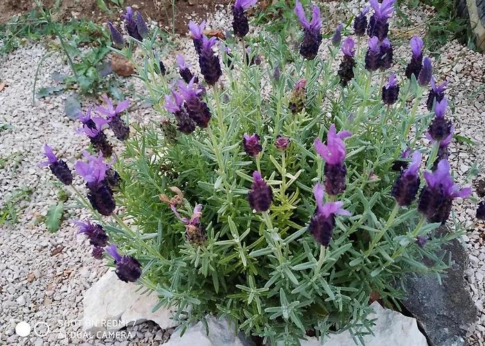 Krka Fairytale Little Castle Luksustelt