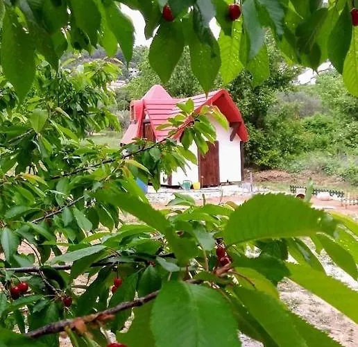 Krka Fairytale Little Castle Skradin