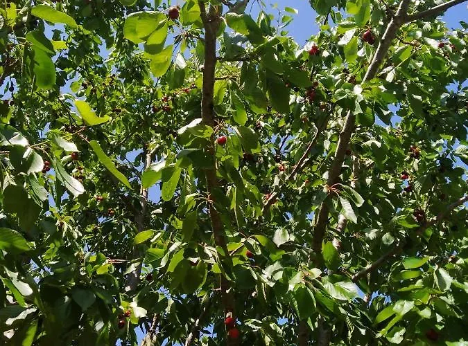 Luxussátor Krka Fairytale Little Castle Skradin