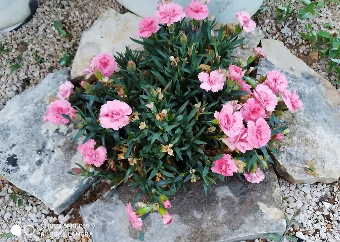 Luksustelt Krka Fairytale Little Castle Skradin