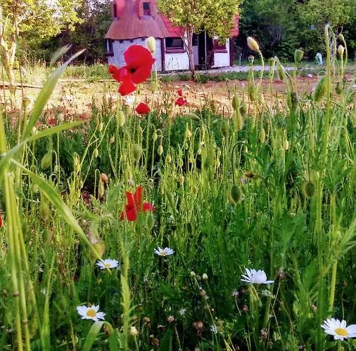 Krka Fairytale Little Castle * 斯克拉丁